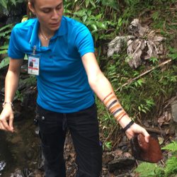 Louie's VIP Tours of Puerto Rico - "Nature's make up"