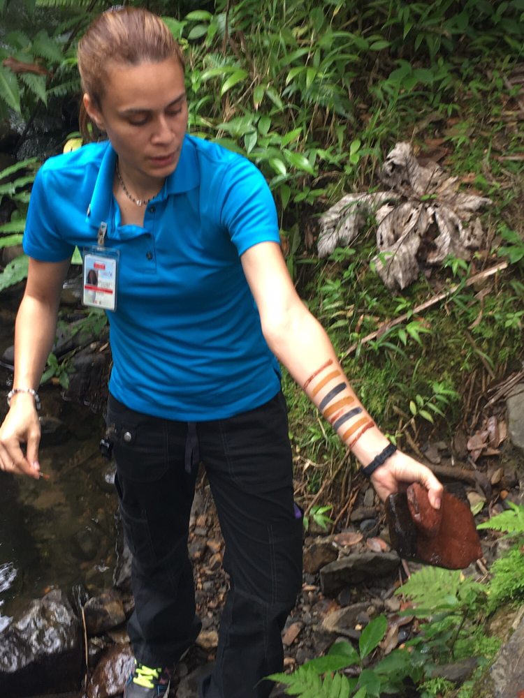 Louie's VIP Tours of Puerto Rico