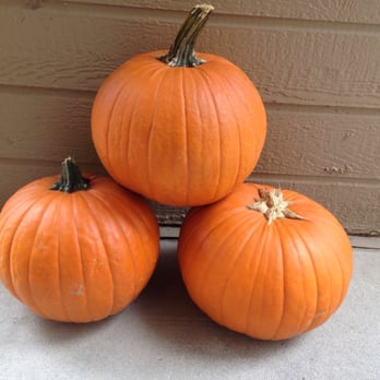 Vic Mauro Produce - three pumpkins on a porch - Fruits & Veggies Near Me - Pueblo, Colorado Vic Mauro Produce - three pumpkins on a porch - Fruits & Veggies Near Me - Pueblo, Colorado