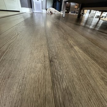 Sylvan Perfect Flooring - My Dogo Argentino baby loves the floors too - Flooring Near Me - Tampa, Florida Sylvan Perfect Flooring - My Dogo Argentino baby loves the floors too - Flooring Near Me - Tampa, Florida