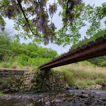 大原野森林公園森の案内所 大原野 石作町1754 京都市 西京区 京都府 Japan Yelp