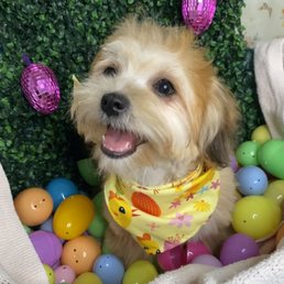 Easter pics!