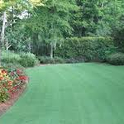 Southern Lawns