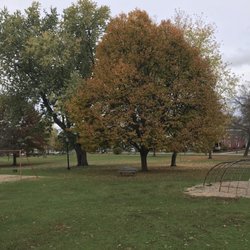 Chapin Park - Trees changing color on late October