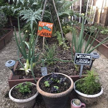 Orange County Farm Supply - Planted, 6 snap peas, lemon balm, basil (combo pack-green & purple!) camomile and 6 Japanese egg plant (behind artichoke). - Nurseries & Gardening Near Me - Orange, California Orange County Farm Supply - Planted, 6 snap peas, lemon balm, basil (combo pack-green & purple!) camomile and 6 Japanese egg plant (behind artichoke). - Nurseries & Gardening Near Me - Orange, California