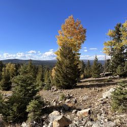 Carson National Forest - Fall 2023