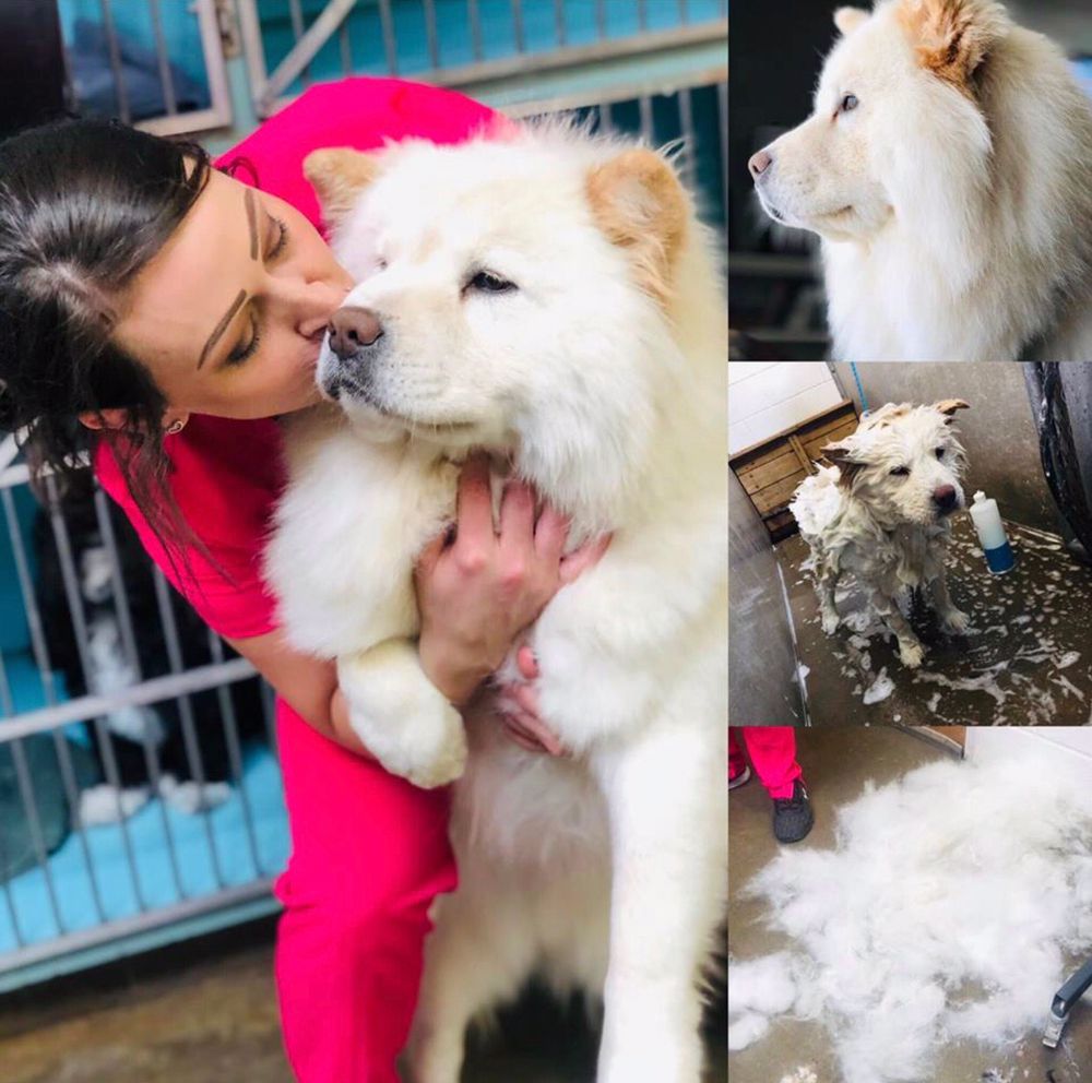 SALINA VETERINARY HOSPITAL Updated September 2024 5 W Magnolia Rd