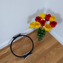 Sheldrake Pilates & Movement - Pilates Magic Circle equipment