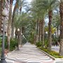 Photo of Patronato Municipal de Turismo y Playas
