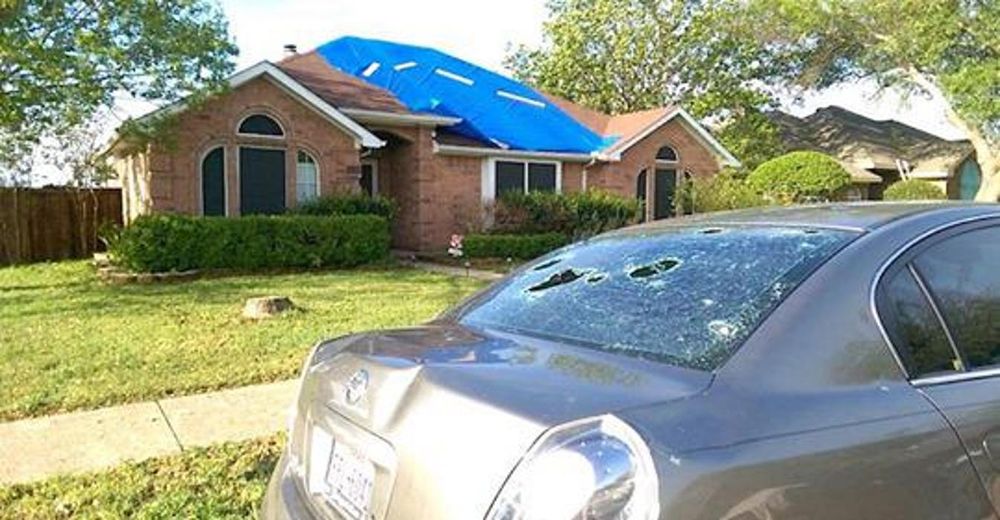 Slide of Hawk Restorations