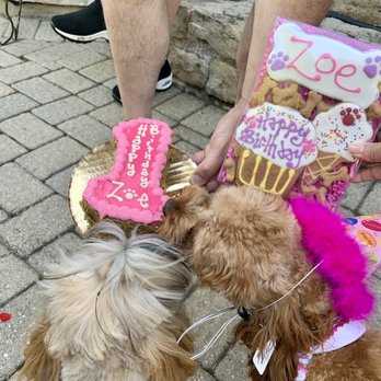 Happy Dog Barkery - Pet Stores Near Me - Downers Grove, Illinois Happy Dog Barkery - Pet Stores Near Me - Downers Grove, Illinois
