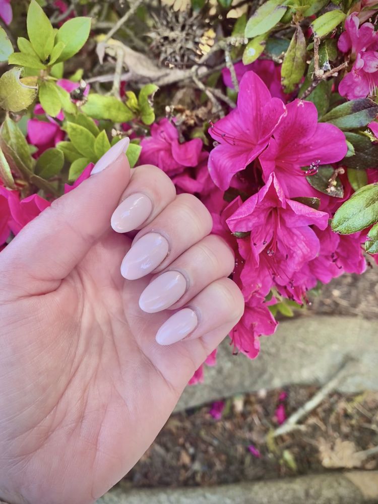 ADELA NAILS & SPA Updated June 2024 374 Photos & 148 Reviews 8115