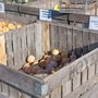 Photo of Boyer Orchards