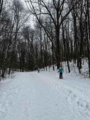 Maybury State Park by null