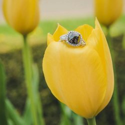 Branford Jewelers