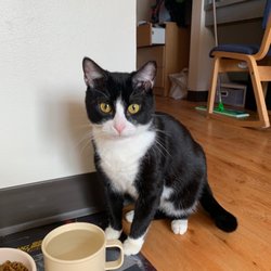 Pet Supermarket - Enjoying a cup of water!