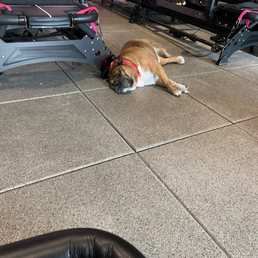 Chobi, the motivator