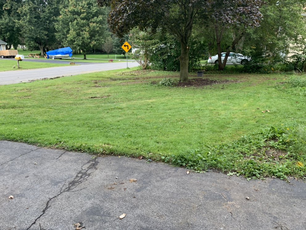 PB & SON LANDSCAPING Updated June 2024 40 Photos 7637 Gifford Rd