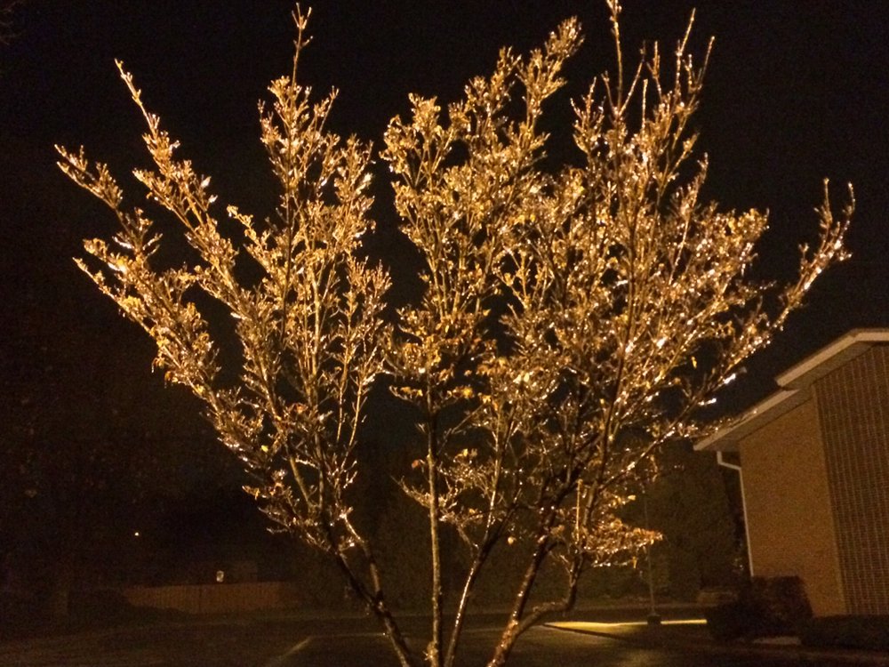 STONE RIDGE LANDSCAPING LLC Updated July 2024 82 Photos 5432 St