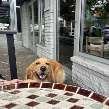 She enjoys the patio!