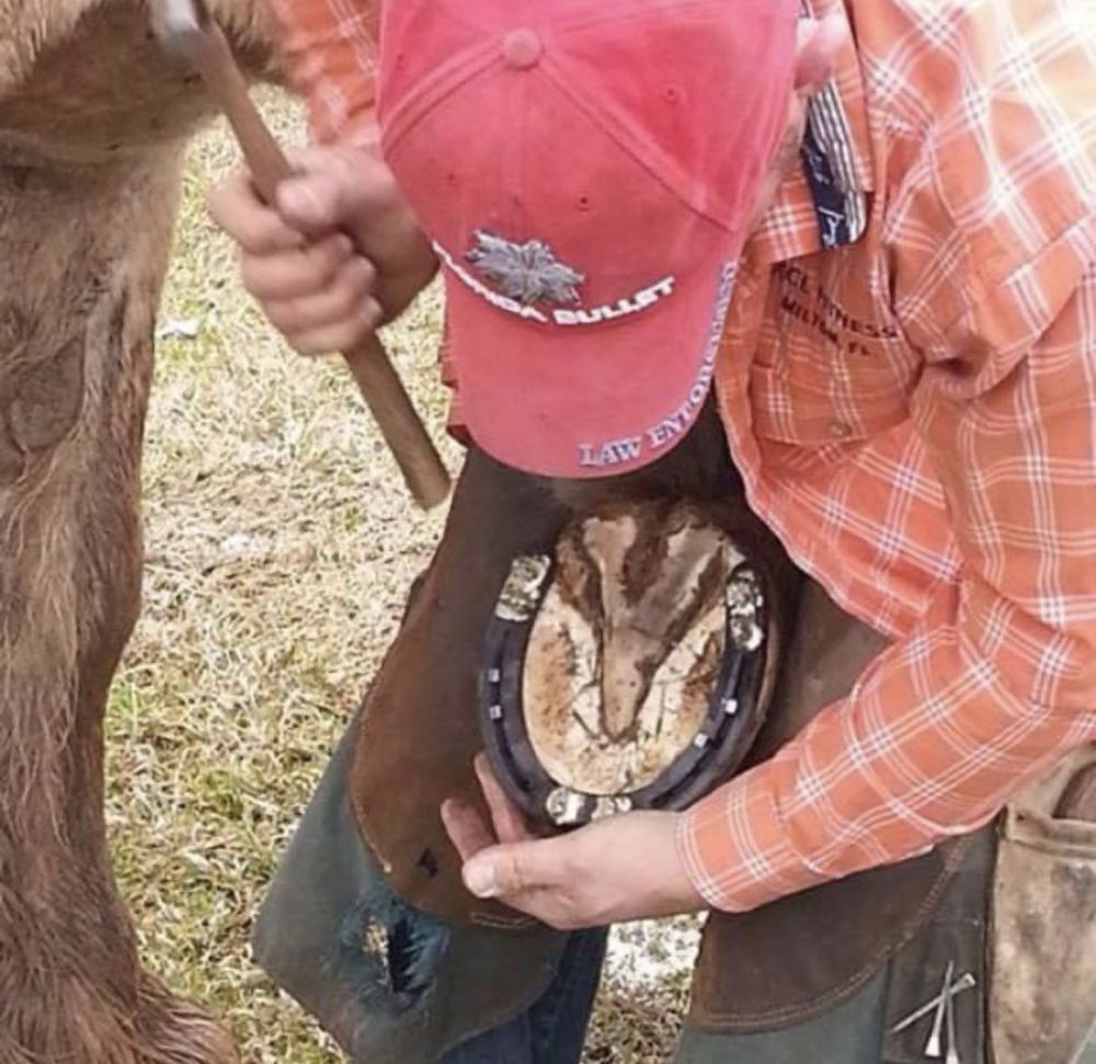 PRO FARRIER Updated August 2024 Request Information 1002 Ridgewood Cv S, Niceville