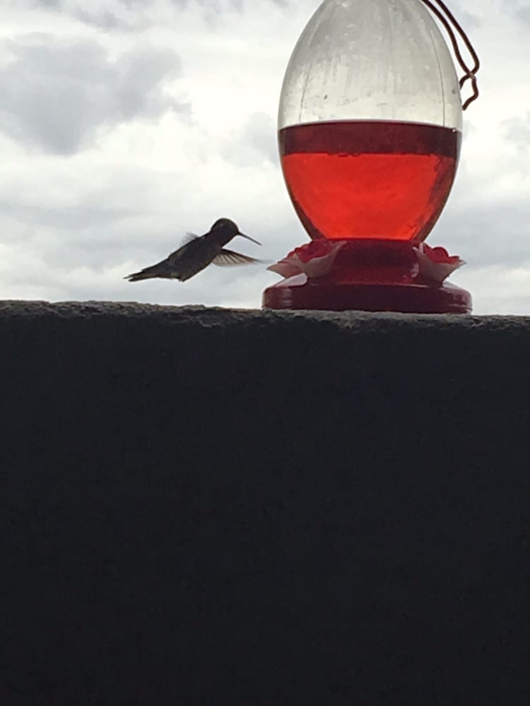 THE PARAGON AT KIERLAND APARTMENTS CLOSED Updated May 2024 11