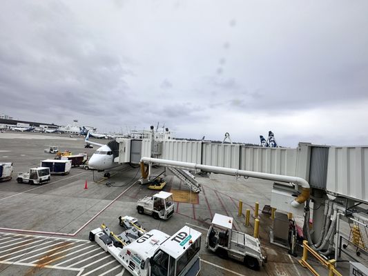 Alaska Airlines - Seattle, WA by null