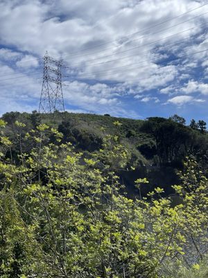 Hollywood Reservoir by null