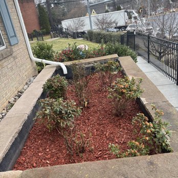 David Landscaping Services - Mulching of beds - Gutter Services Near Me - Silver Spring, Maryland David Landscaping Services - Mulching of beds - Gutter Services Near Me - Silver Spring, Maryland