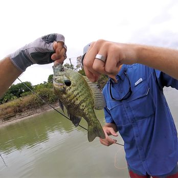 D.Ferreira Fly Fishing - Fishing Near Me