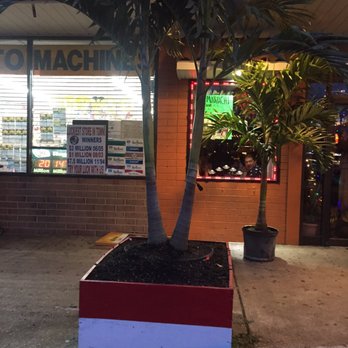 5 De Mayo Mexican Restaurant - Tree outside. - Mexican Near Me - Westbury, New York
