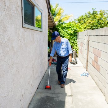 Green Termite & Pest Control - Green Termite & Pest Control - Pest Control Near Me - Los Angeles, California Green Termite & Pest Control - Green Termite & Pest Control - Pest Control Near Me - Los Angeles, California