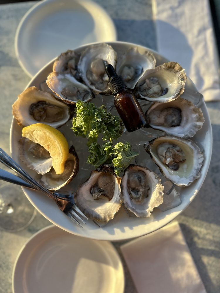 OYSTERCATCHER SEAFOOD BAR & GRILL Updated July 2024 25 Photos & 57