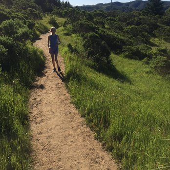 Dipsea - On the hot Hogaback - Hiking Near Me