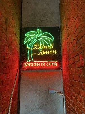 The Blind Lemon by null