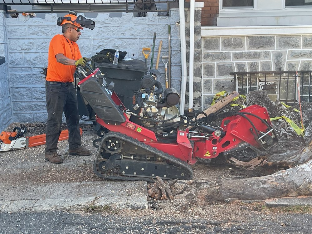 In God We Trust Tree Service - tree service in Philadelphia, PA