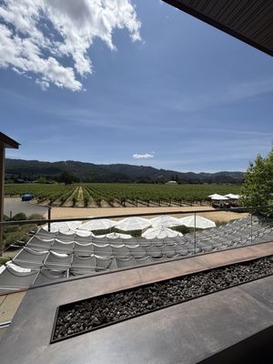 HALL Wines St. Helena by null