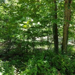 Triple Creek