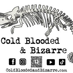 Cold Blooded & Bizarre