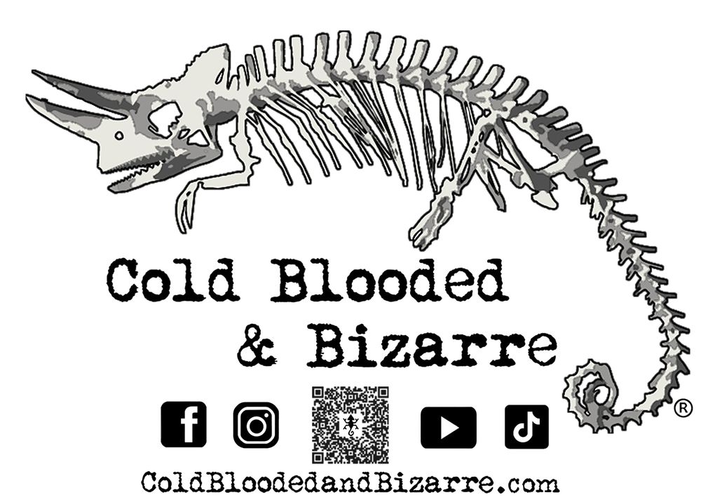 Cold Blooded & Bizarre - pet boarding facility in Wake Forest, NC