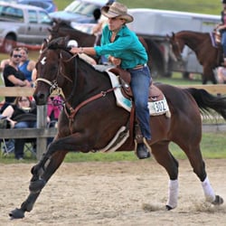 Countryside Farm - At Woodstock fair