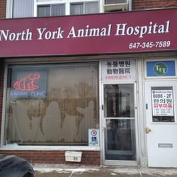 North York Veterinary Clinic