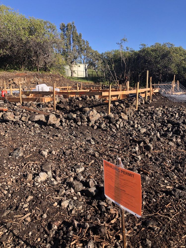 WILL KILL TERMITES & PESTS Updated August 2024 17 Reviews 500