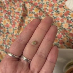 Rock found in burrito