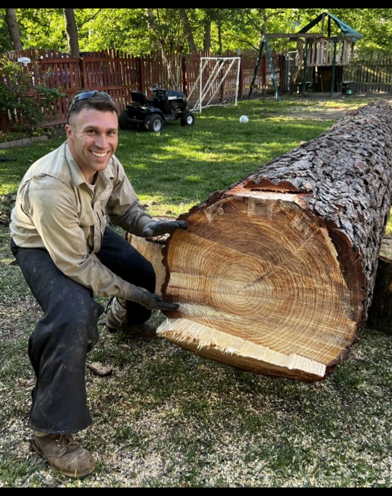 BLAKE’S TREE SERVICE Updated August 2024 12 Photos 315 E Indian