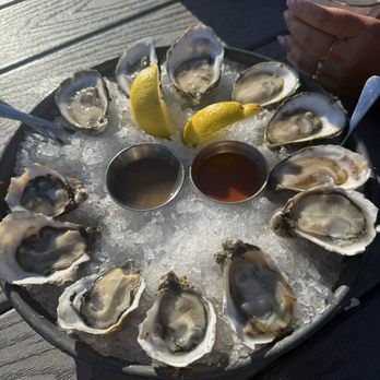 Taylor Shellfish Farms - Fat bastard and Kumamoto - Seafood Markets Near Me - Bow, Washington Taylor Shellfish Farms - Fat bastard and Kumamoto - Seafood Markets Near Me - Bow, Washington