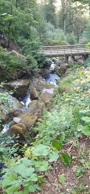 Triberg Waterfalls by null