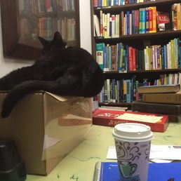 THE CAT THE CAT