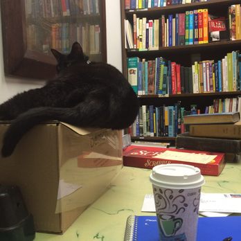 Bookmarx Bookstore - THE CAT - Bookstores Near Me - Steubenville, Ohio Bookmarx Bookstore - THE CAT - Bookstores Near Me - Steubenville, Ohio