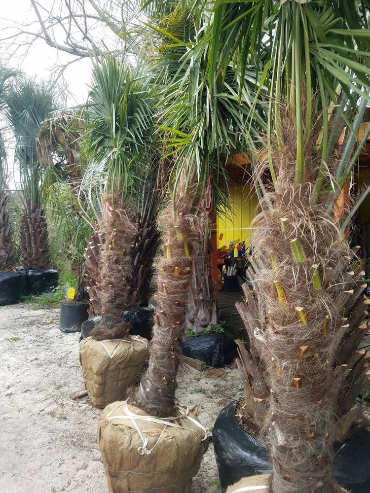 MIKE’S PRODUCE & PLANTS 11 Reviews 8025 State Hwy 59, Foley, Alabama Nurseries & Gardening